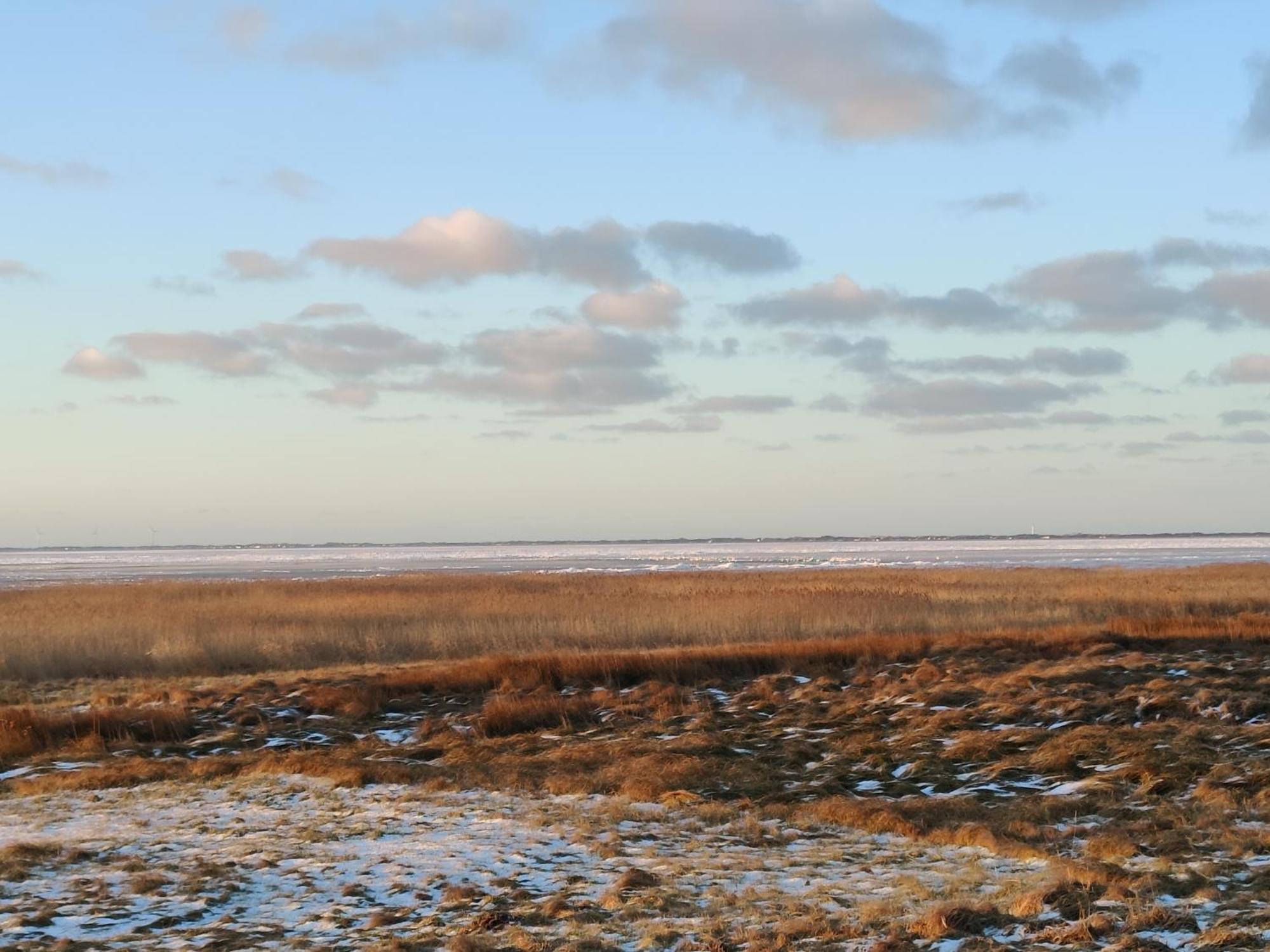 Villa-Amby Ringkøbing Buitenkant foto